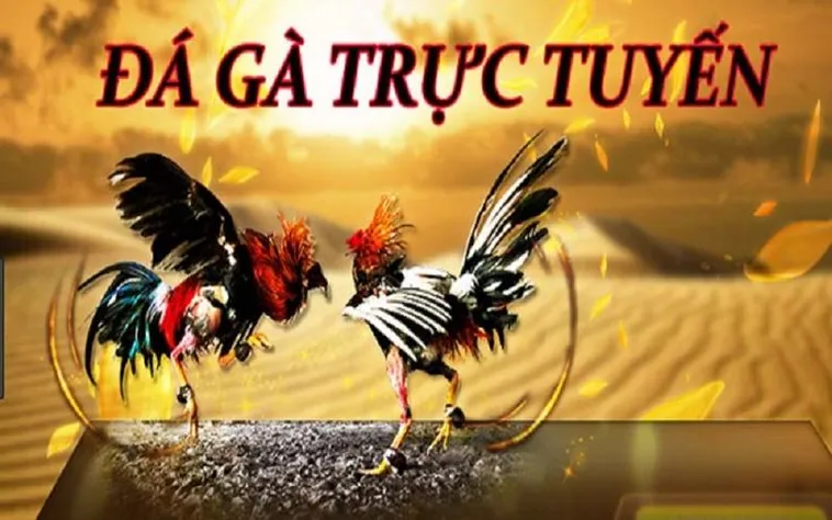 Đá Gà HB88 Trực Tiếp Đỉnh Cao Cơ Hội Thắng Lớn Mỗi Ngày