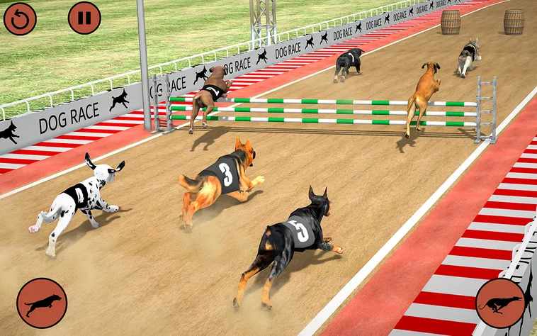Hướng Dẫn Chơi Game Nhanh Đua Chó HB88 Chắc Thắng Từ A Z