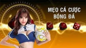 Tìm Hiểu Cá Cược Bóng Đá HB88 Bí Quyết Thắng Lớn Mỗi Ngày 7 Tìm Hiểu Cá Cược Bóng Đá HB88 Bí Quyết Thắng Lớn Mỗi Ngày